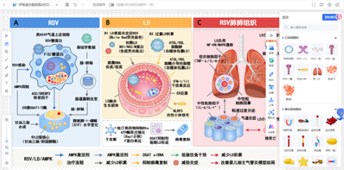 上传的图片